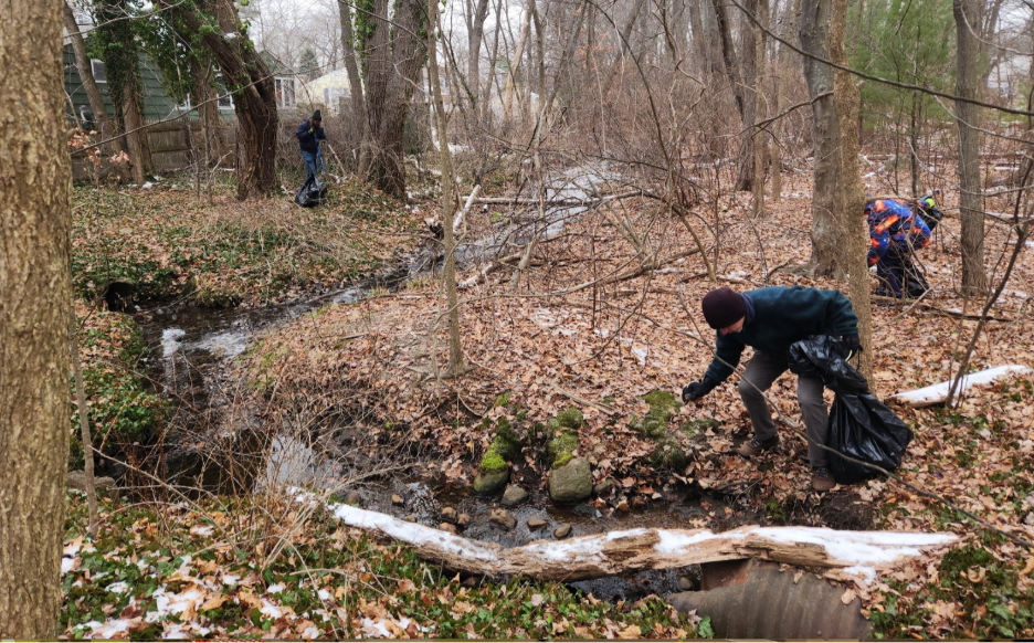 A person picking up leaves in a forest
AI-generated content may be incorrect.