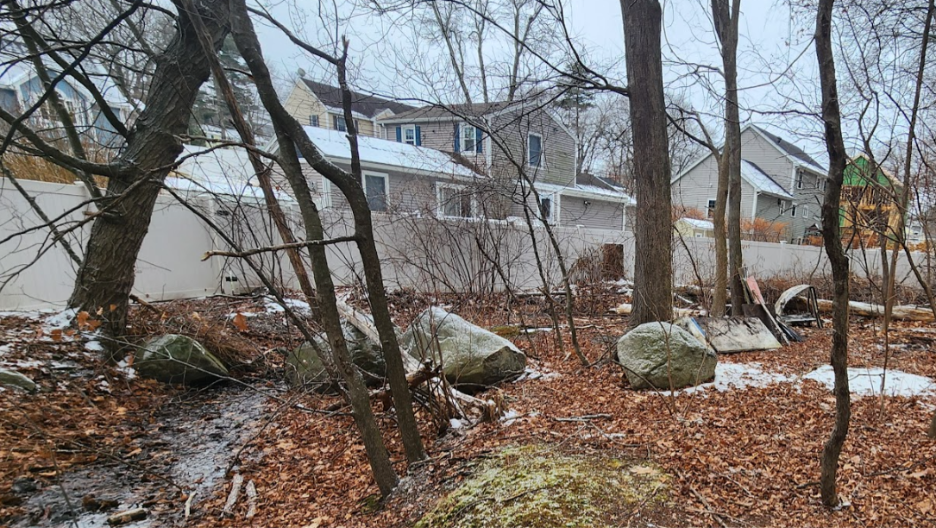 A house with a few trees and rocks
AI-generated content may be incorrect.