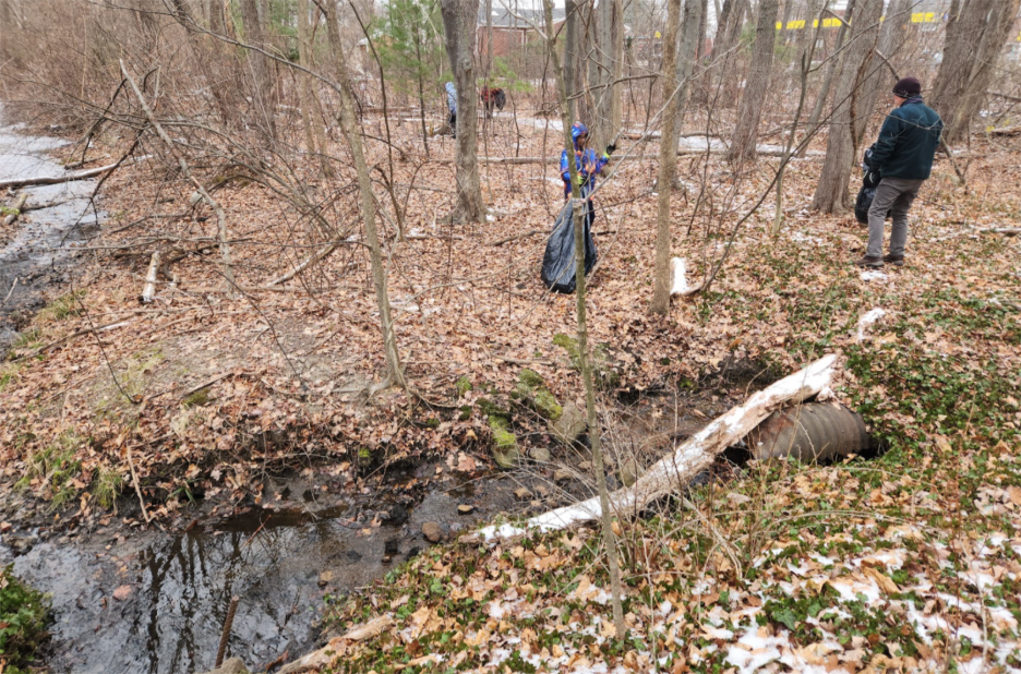 A person in a blue hat in a forest
AI-generated content may be incorrect.