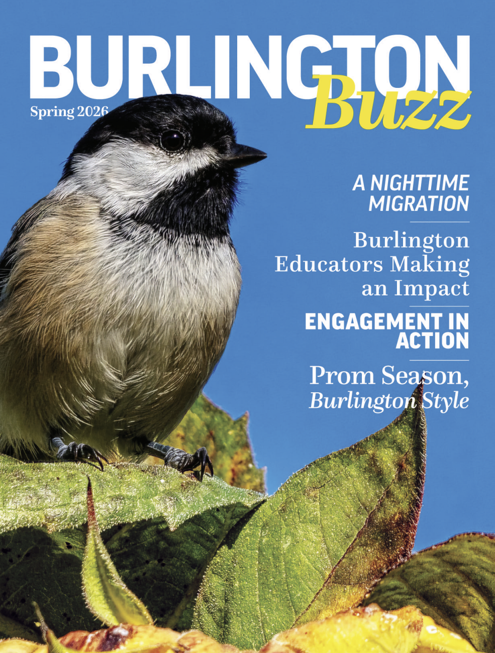 Spring Magazine Cover