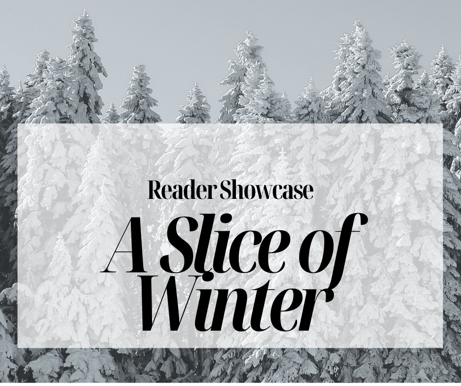 A Slice of Winter: Poetry from Burlington