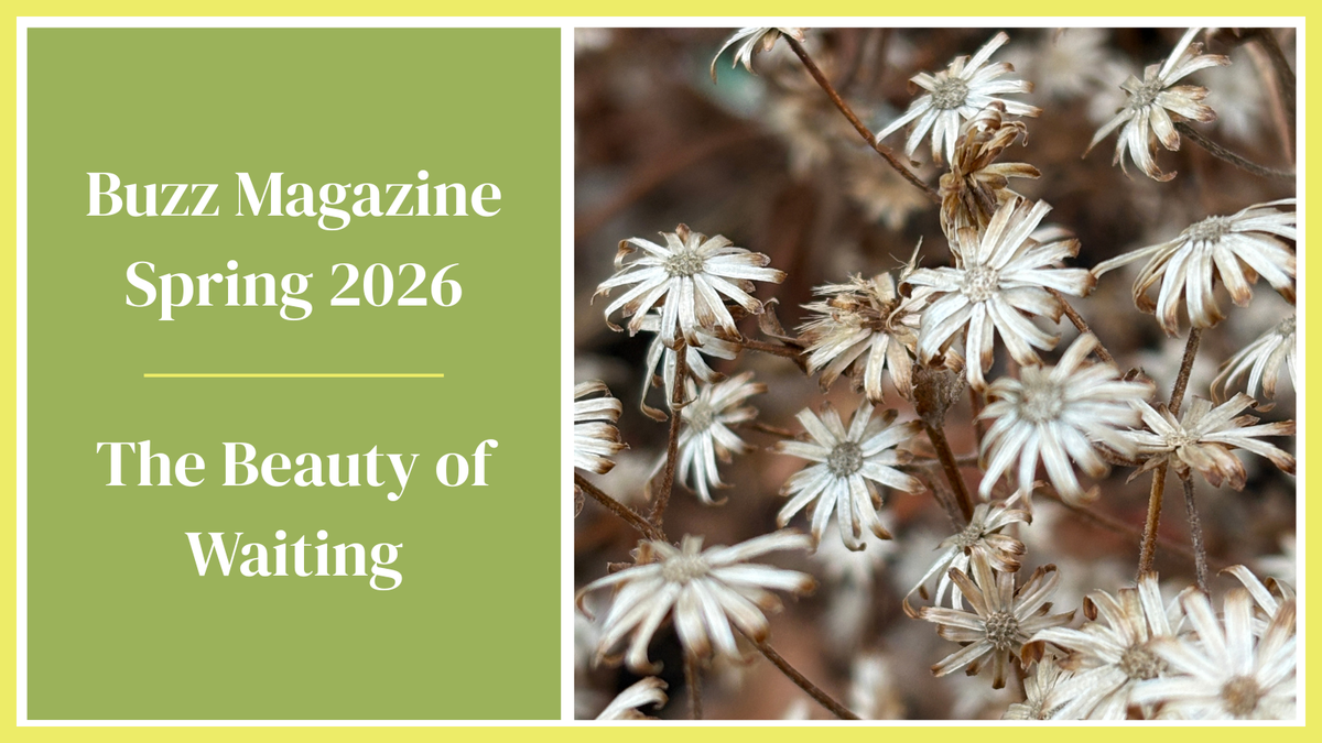 The Beauty of Waiting: The Benefits of Holding Off on Fall and Spring Cleanup