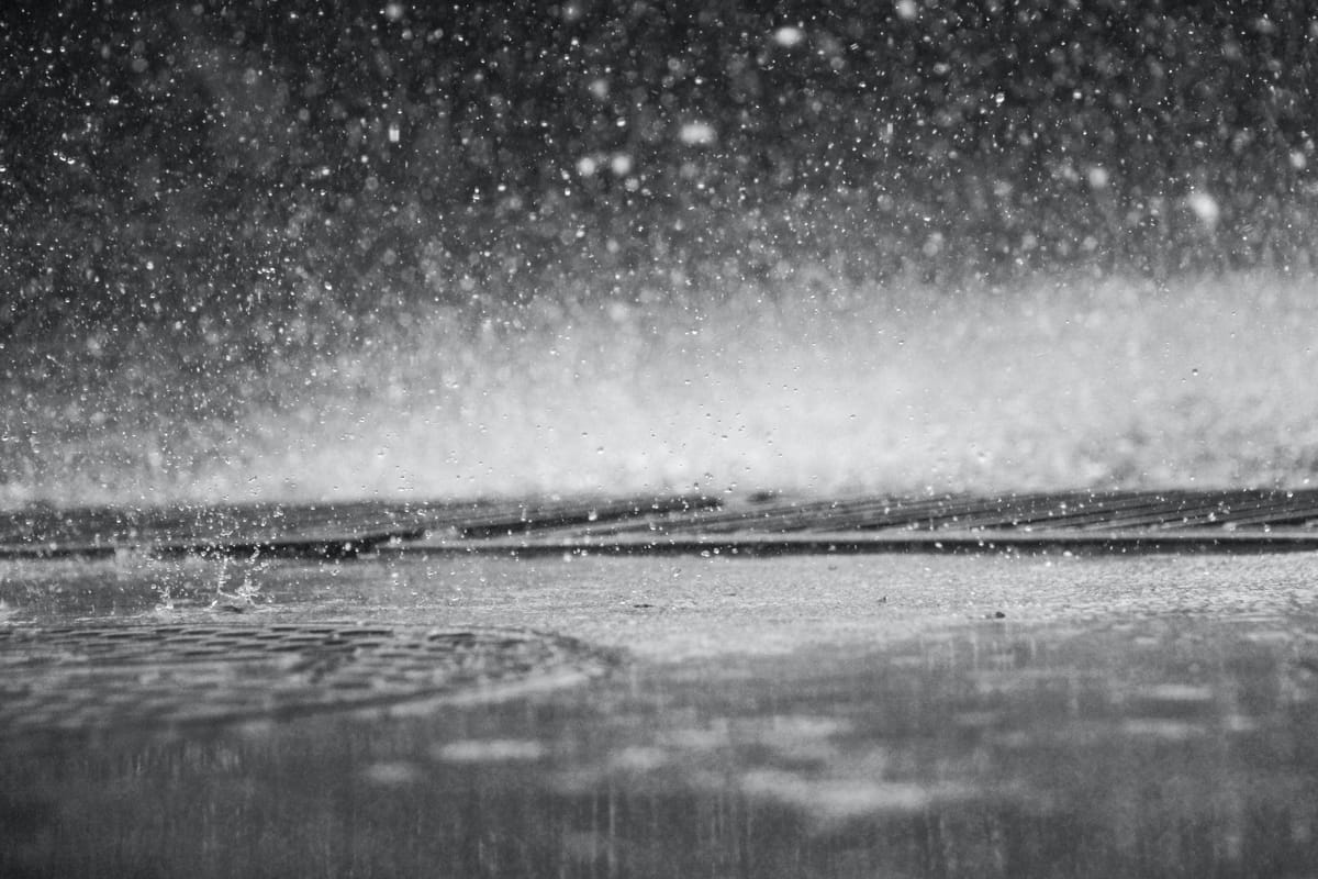 Daily Buzz | How do you like your storm water?