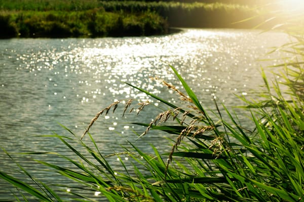 Where Does Burlington’s Water Flow?