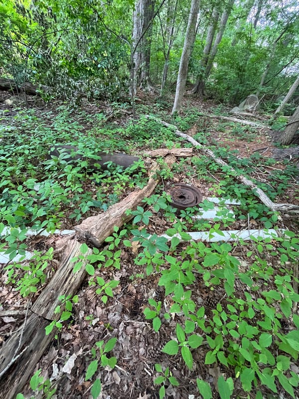 Burlington Stream Cleaning Program Keeps Waterways Clear, Urges Residents to Stop Illegal Dumping