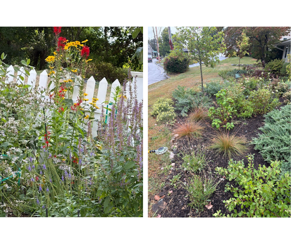 Climate Change and the Garden